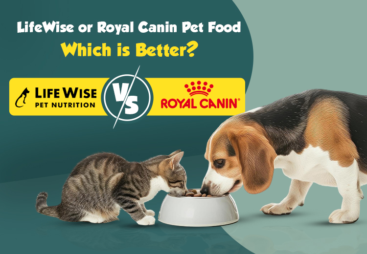 Understanding Hot Spots in Dogs: Causes, Symptoms, and Treatments